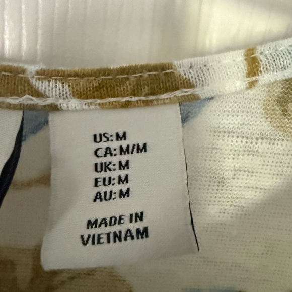 Joie Blue and Brown Cap Sleeve Boxy Blouse - Picture 3 of 5